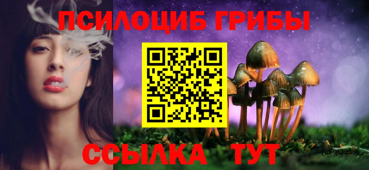 Псилоцибиновые грибы мухоморы Вязьма