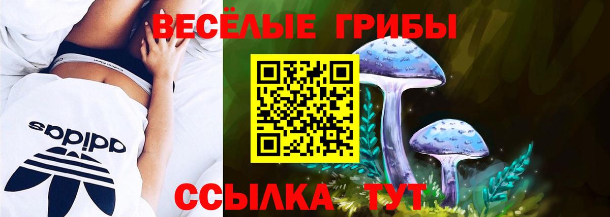 Галлюциногенные грибы MAGIC MUSHROOMS  Вход с VPN  Вязьма 